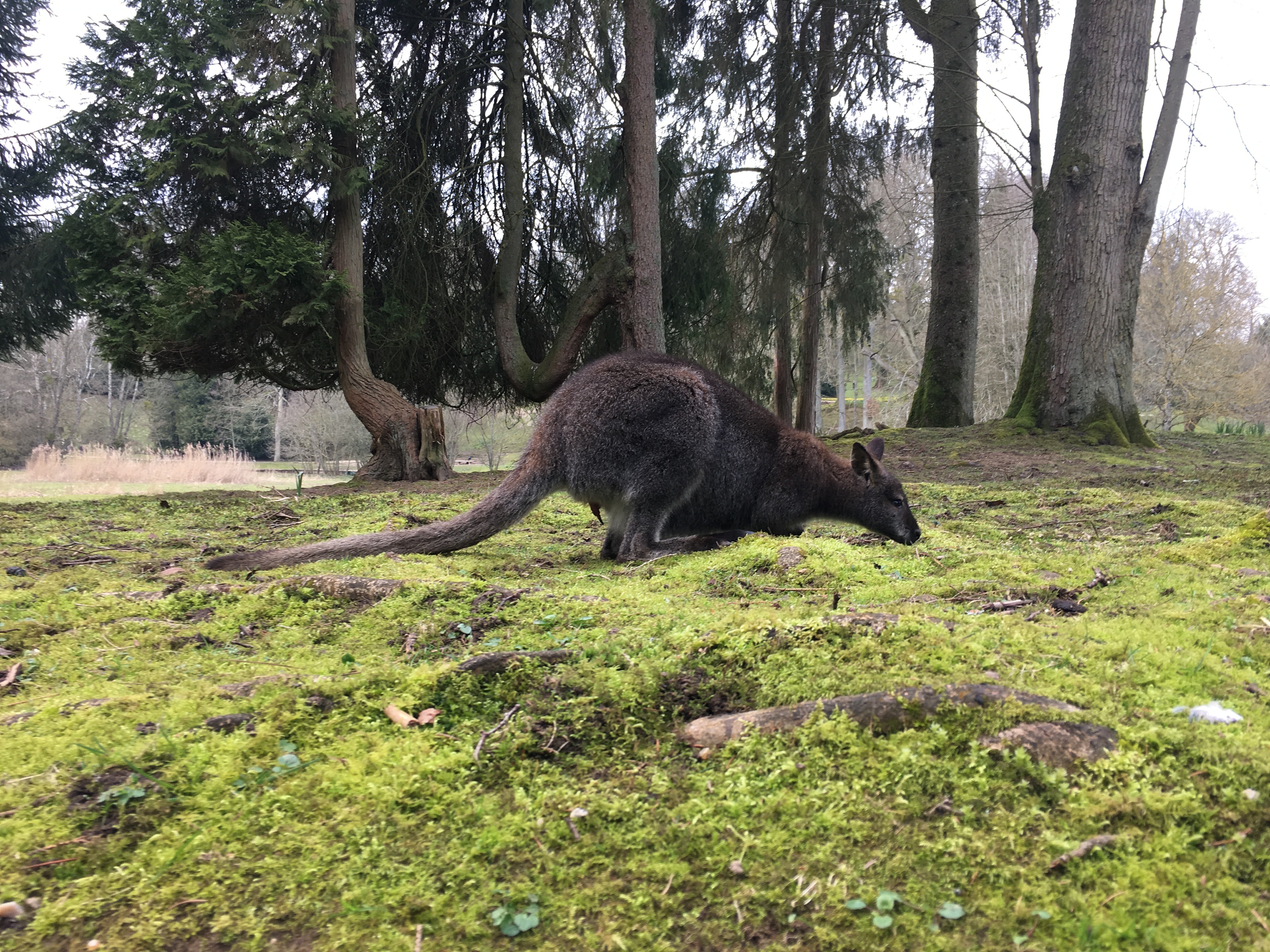 Photo n° 4 de l'avis de Julien.u fait le 23/06/2018 à 00:40