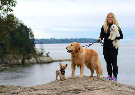 Canine Connection Training