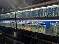 Elia's Pet Shop - Photo 6 - Car repair in Los Angeles, CA, Los Angeles