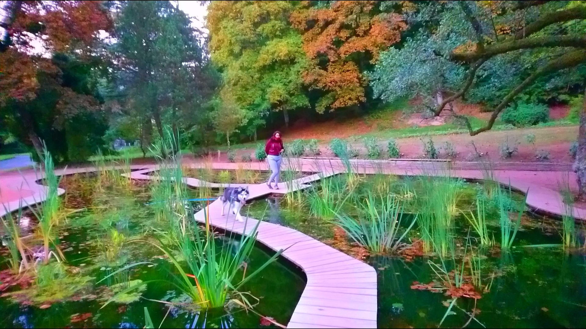 Photo n° 8 de l'avis de Noëlle. fait le 17/10/2018 à 22:05