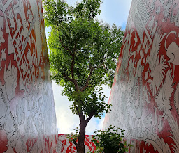 Bung Ta Lua Park photo