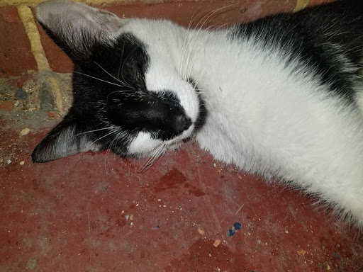 Shopping Mall «Hilltop Shopping Center», reviews and photos, 5400 Reisterstown Rd, Baltimore, MD 21215, USA