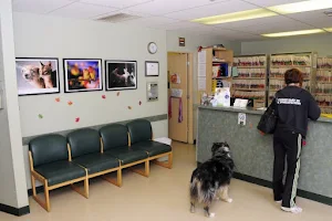 VCA Wilshire Animal Hospital image