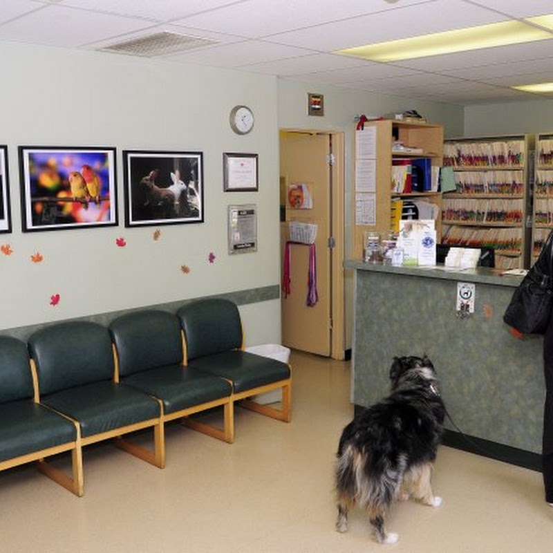 VCA Wilshire Animal Hospital