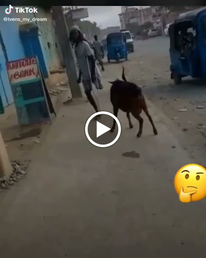 Office Supply Store «Staples», reviews and photos, 921 N Milliken Ave, Ontario, CA 91761, USA