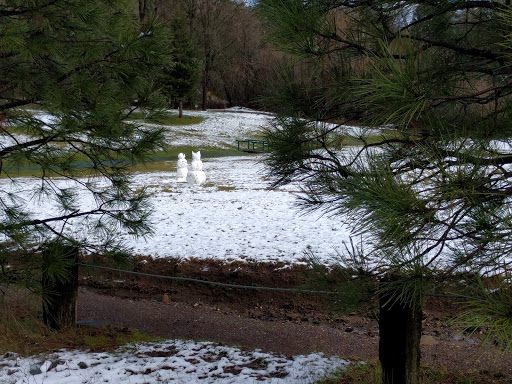 Golf Course «Adams Springs Golf Course», reviews and photos, 14347 Snead Ct, Cobb, CA 95426, USA