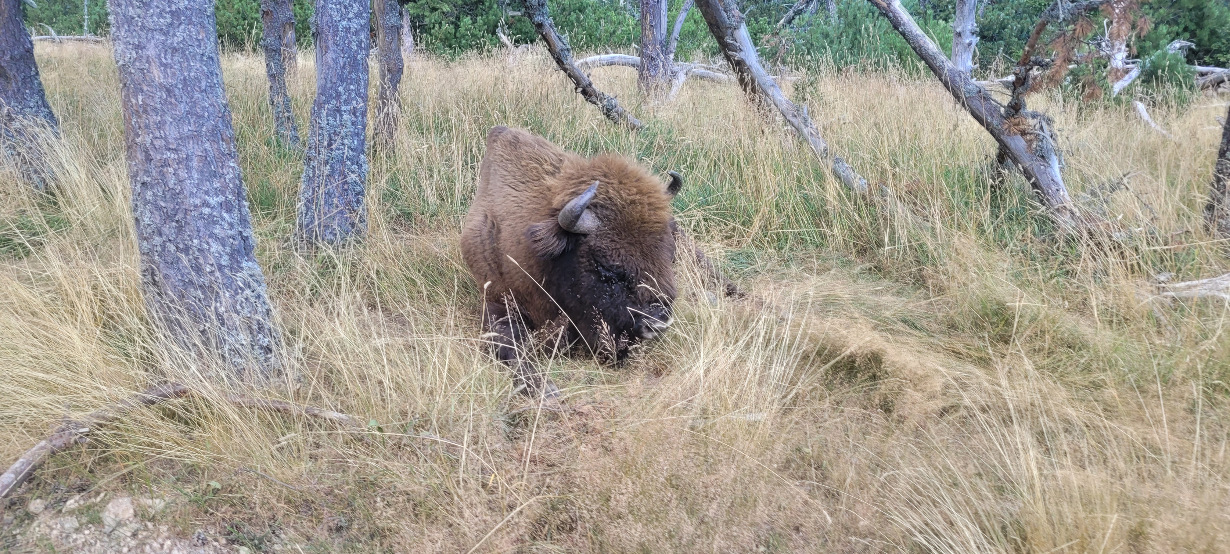 Photo n° 2 de l'avis de Bernard.a fait le 13/08/2023 à 16:40