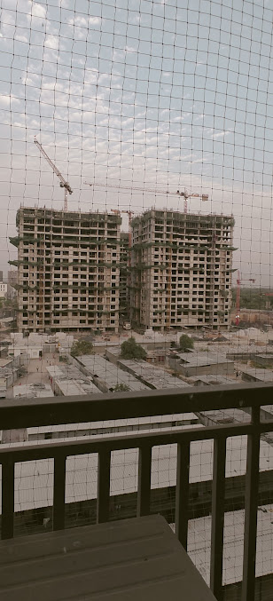 Google Maps image 12