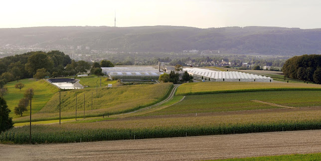 Eschbach Gemüsebau - Rheinfelden