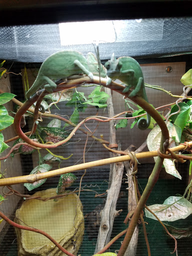 Tropical Fish Store «Pet Friendly Inc», reviews and photos, 845 Manitou Rd, Hilton, NY 14468, USA