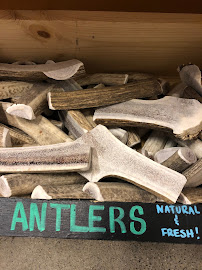 Chow Down Pet Supplies - Photo 7 - Car repair in Grand Junction, CO, Grand Junction