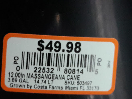 Thrift Store «Sun Rise Thrift Store», reviews and photos, 1880 S Havana St, Aurora, CO 80012, USA