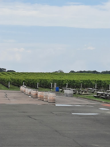 Winery «Pindar Vineyards», reviews and photos, 37645 NY-25, Peconic, NY 11958, USA