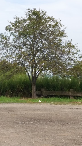 Nature Preserve «Sandy Point Bird Sanctuary», reviews and photos, Beach St, West Haven, CT 06516, USA