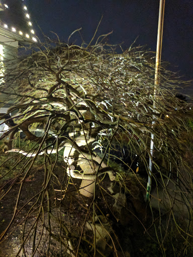 Park «Kerry Park», reviews and photos, 211 W Highland Dr, Seattle, WA 98119, USA