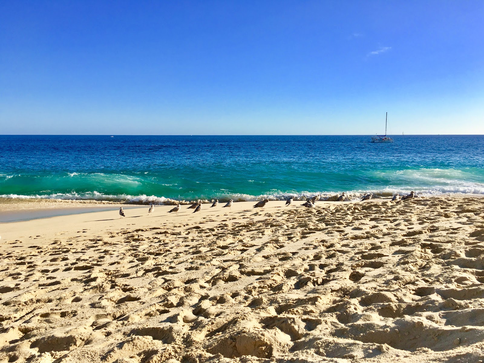 Photo de Playa Punta Bella II - endroit populaire parmi les connaisseurs de la détente