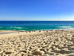 Photo de Playa Punta Bella II - endroit populaire parmi les connaisseurs de la détente