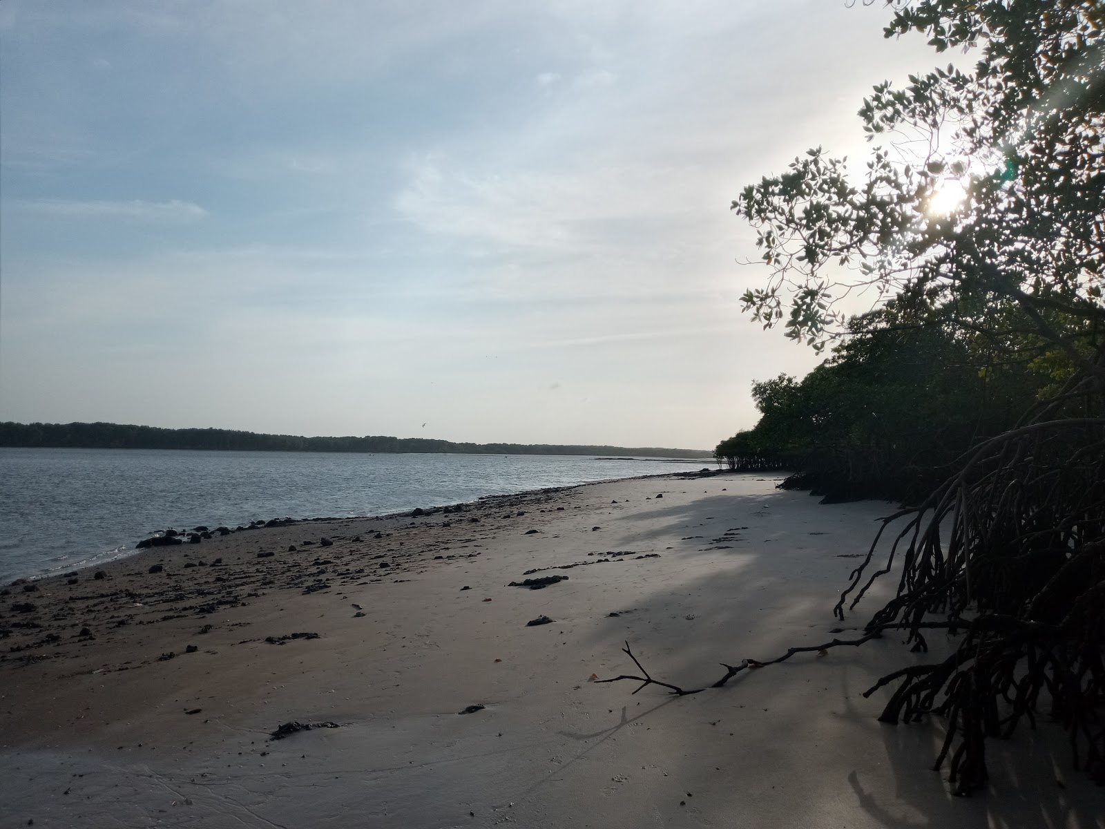 Photo of Itapetiua Beach wild area