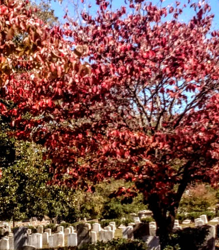 Cemetery «Oakland Cemetery», reviews and photos, 248 Oakland Ave SE, Atlanta, GA 30312, USA
