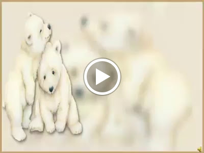 Dollar Store «FAMILY DOLLAR», reviews and photos, 695 Walnut St, Kissimmee, FL 34759, USA