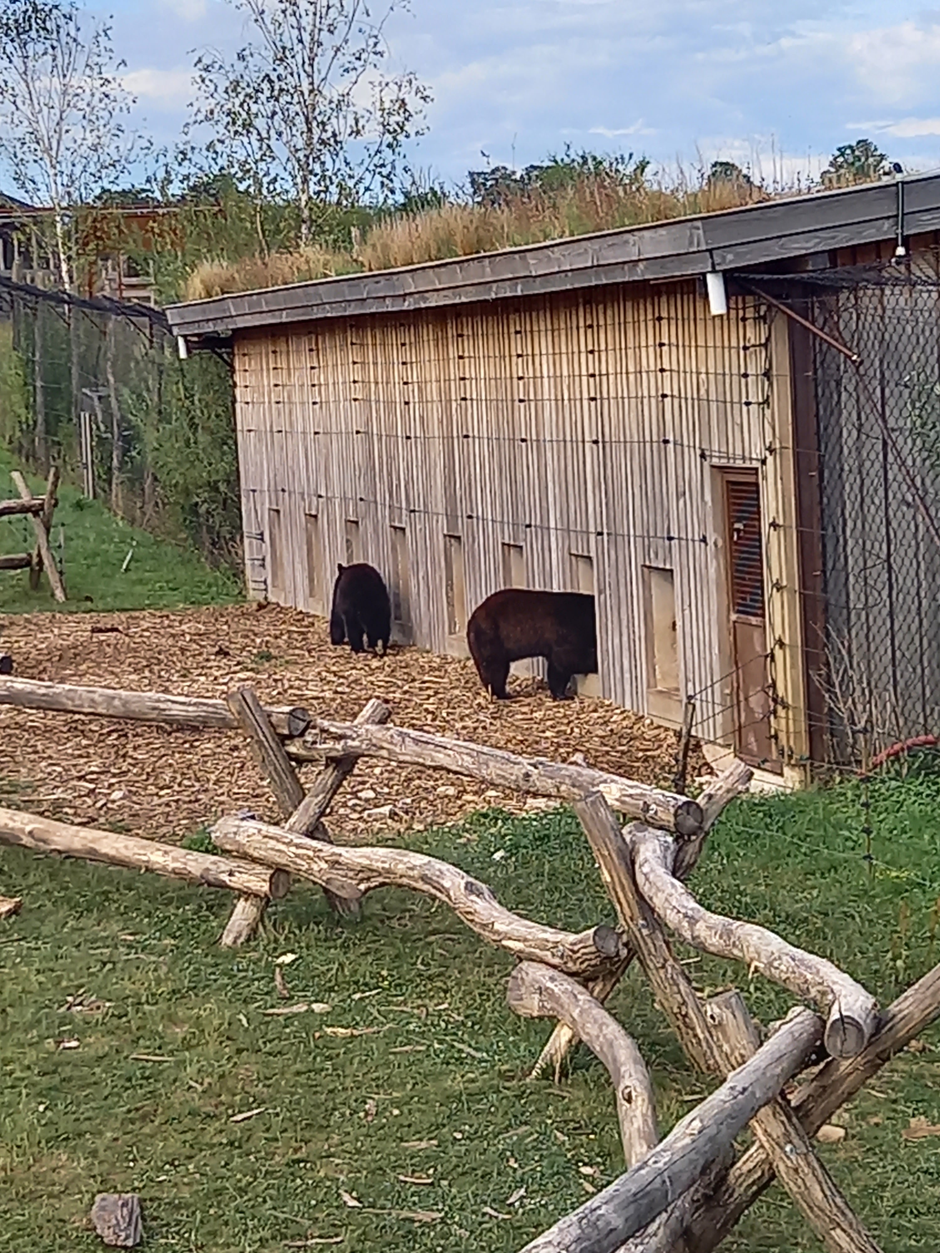 Photo n° 10 de l'avis de Anne.o fait le 26/06/2022 à 15:09