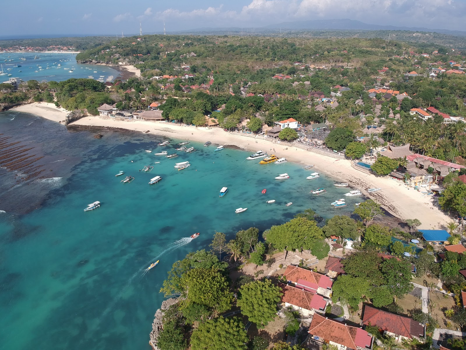 Fotografija Mushroom Bay Beach udobje območja