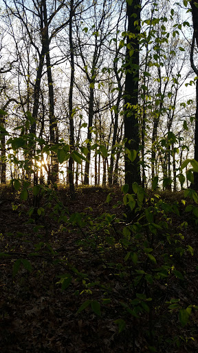 Country Club «Meadow Brook Club», reviews and photos, Cedar Swamp Rd, Jericho, NY 11753, USA