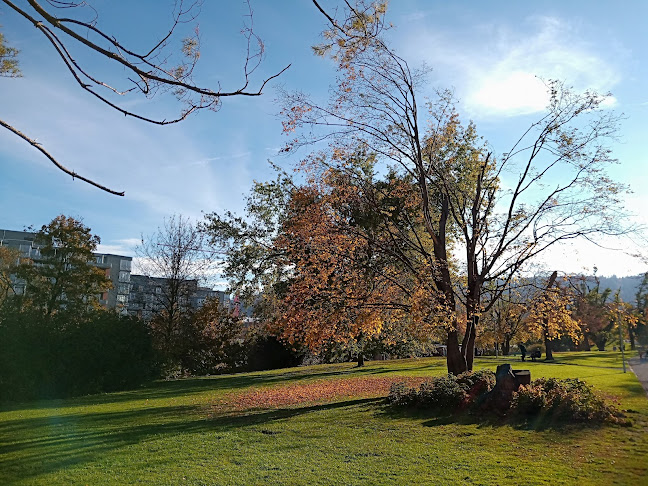 Rezensionen über Spielplatz Bachwiesen in Zürich - Kindergarten