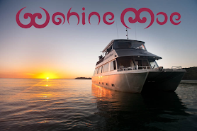 Whaingaroa Wahine Moe. Raglan harbour cruises