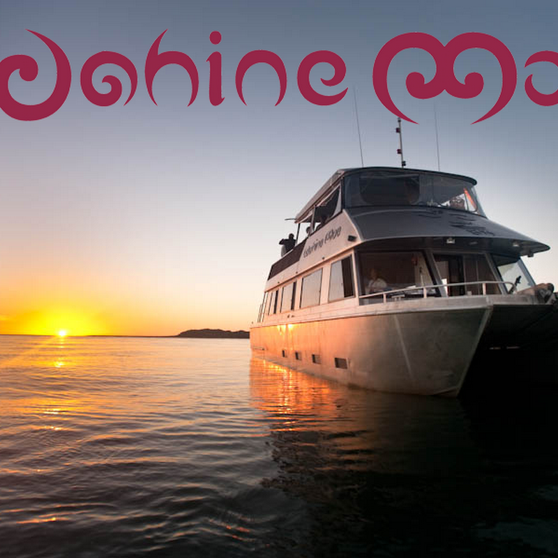 Raglan Boat Charters - Whaingaroa Wahinemoe