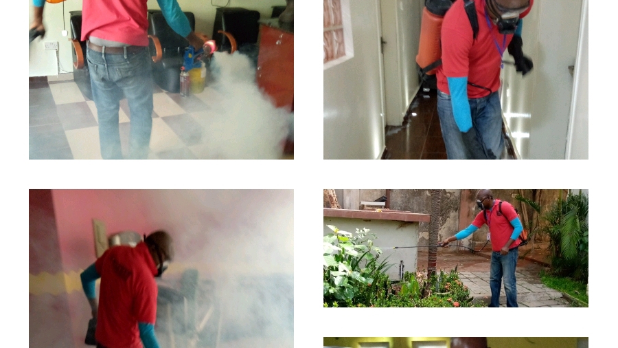 D&V Exclusive Cleaning & Fumigation Services And Maintenance