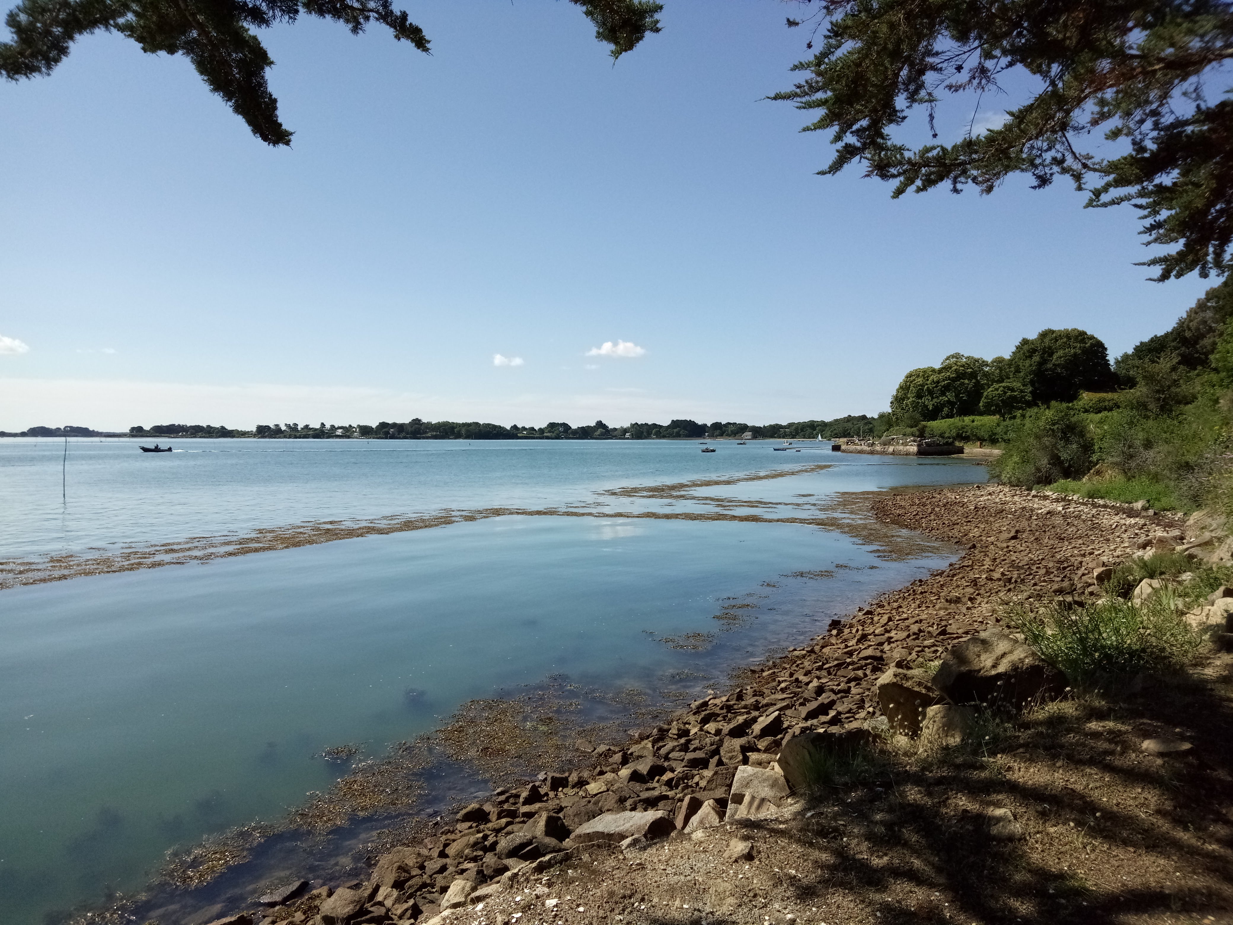 Photo n° 38 de l'avis de Jean.a fait le 21/06/2019 à 18:36