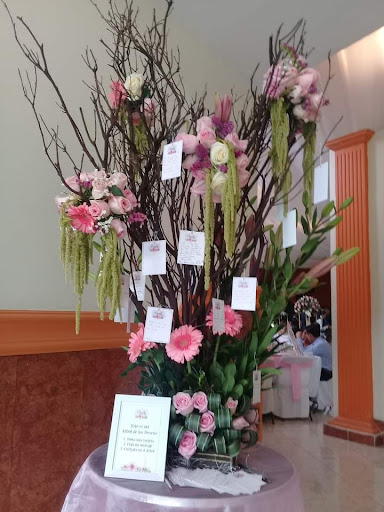 Floristería Michelle – Ixmiquilpan