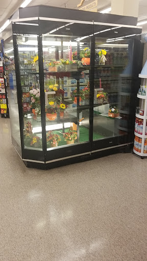 Grocery Store «Albertsons», reviews and photos, 110 E Carson St, Carson, CA 90745, USA