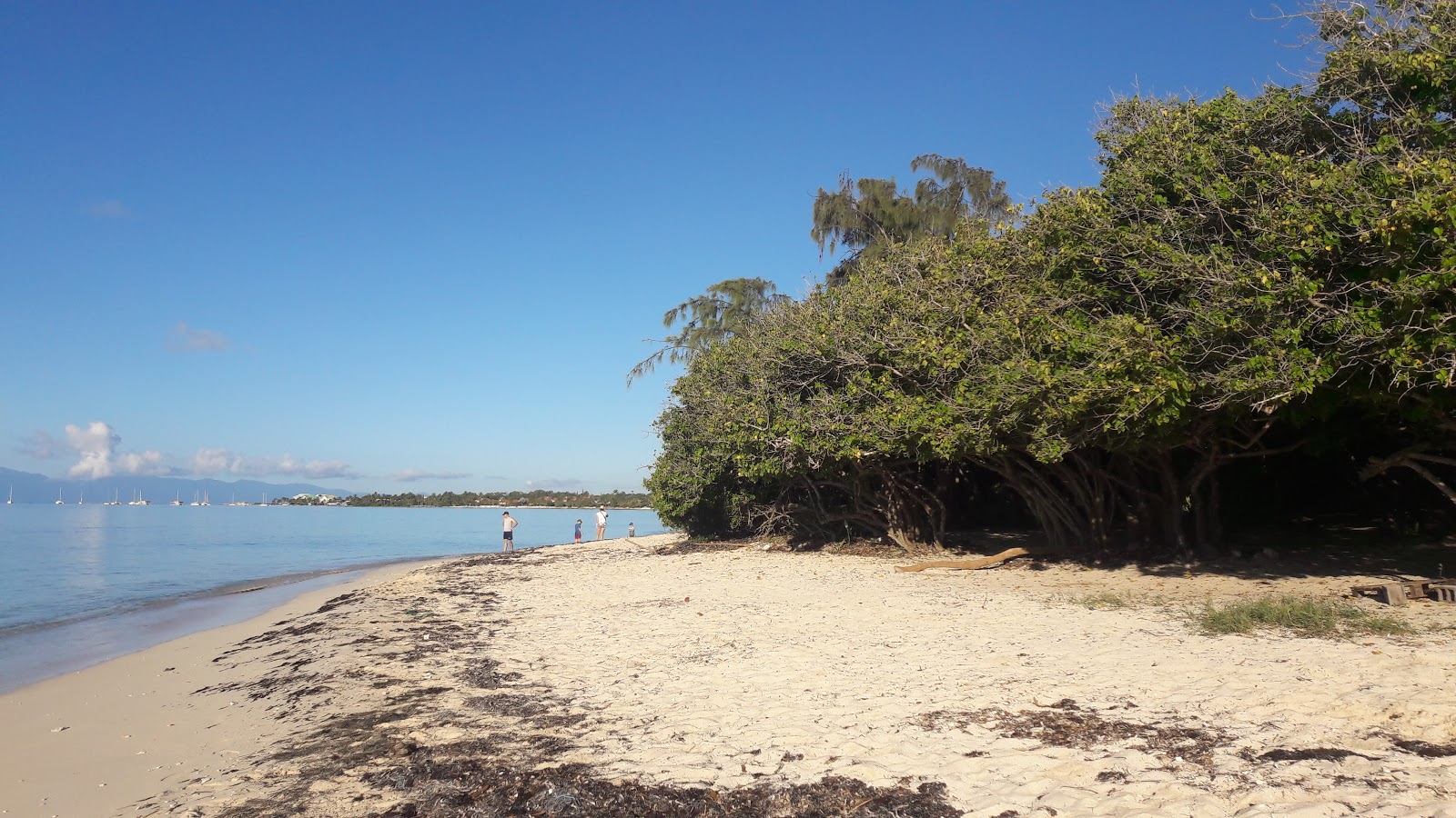 Fotografija Anse du Mancenillier Beach priljubljeno mesto med poznavalci sprostitve