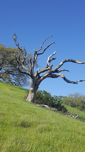 Sports Club «Rolling Hills Club», reviews and photos, 351 San Andreas Dr, Novato, CA 94945, USA