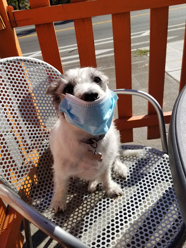 Pet Supply Store «Paws In The Park», reviews and photos, 17833 1st Avenue South, Seattle, WA 98148, USA