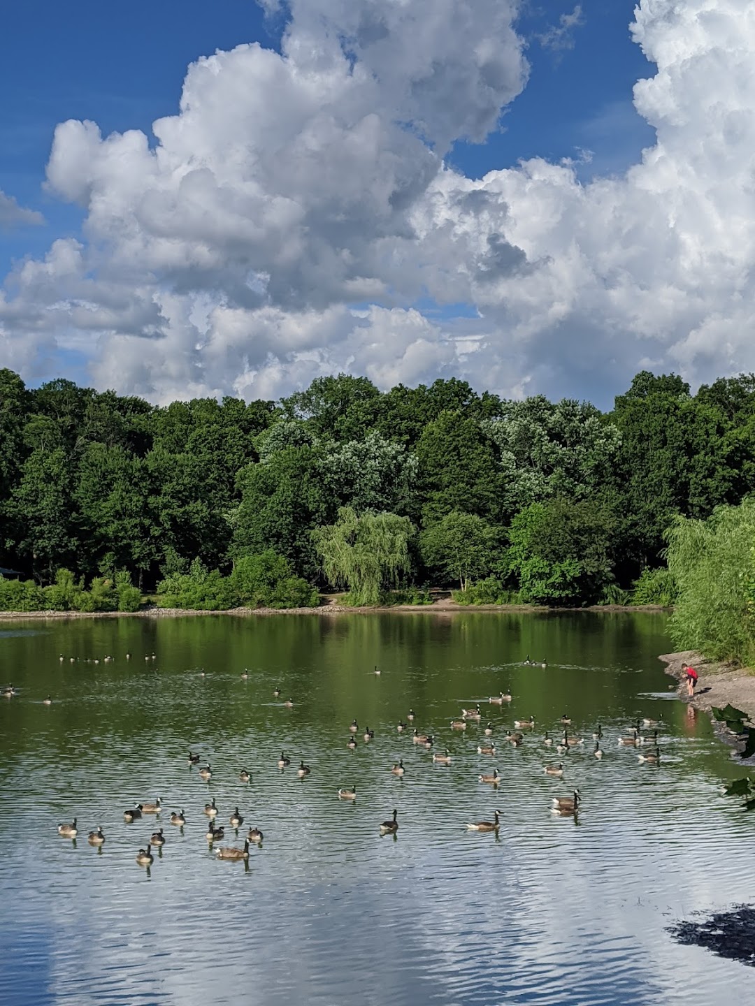 Glen Rock Duck Pond in the city Glen Rock