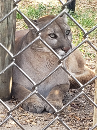 Tourist Attraction «Panther Ridge Conservation Center», reviews and photos, 14755 Palm Beach Point Blvd, Wellington, FL 33414, USA