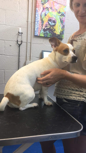 Veterinarian «Pet Vet Supply», reviews and photos, 1215 E Lockheed Dr, Oklahoma City, OK 73110, USA