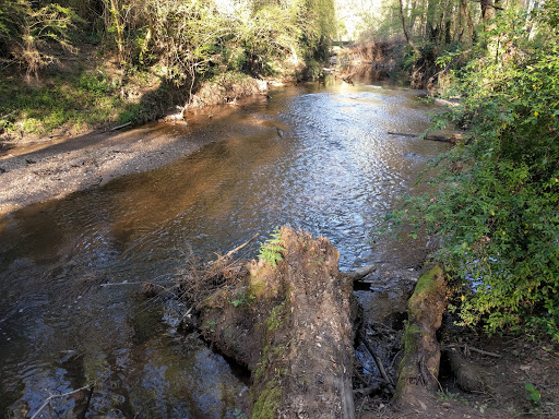 Nature Preserve «Clyde Shepherd Nature Preserve», reviews and photos, 2580 Pine Bluff Dr, Decatur, GA 30033, USA