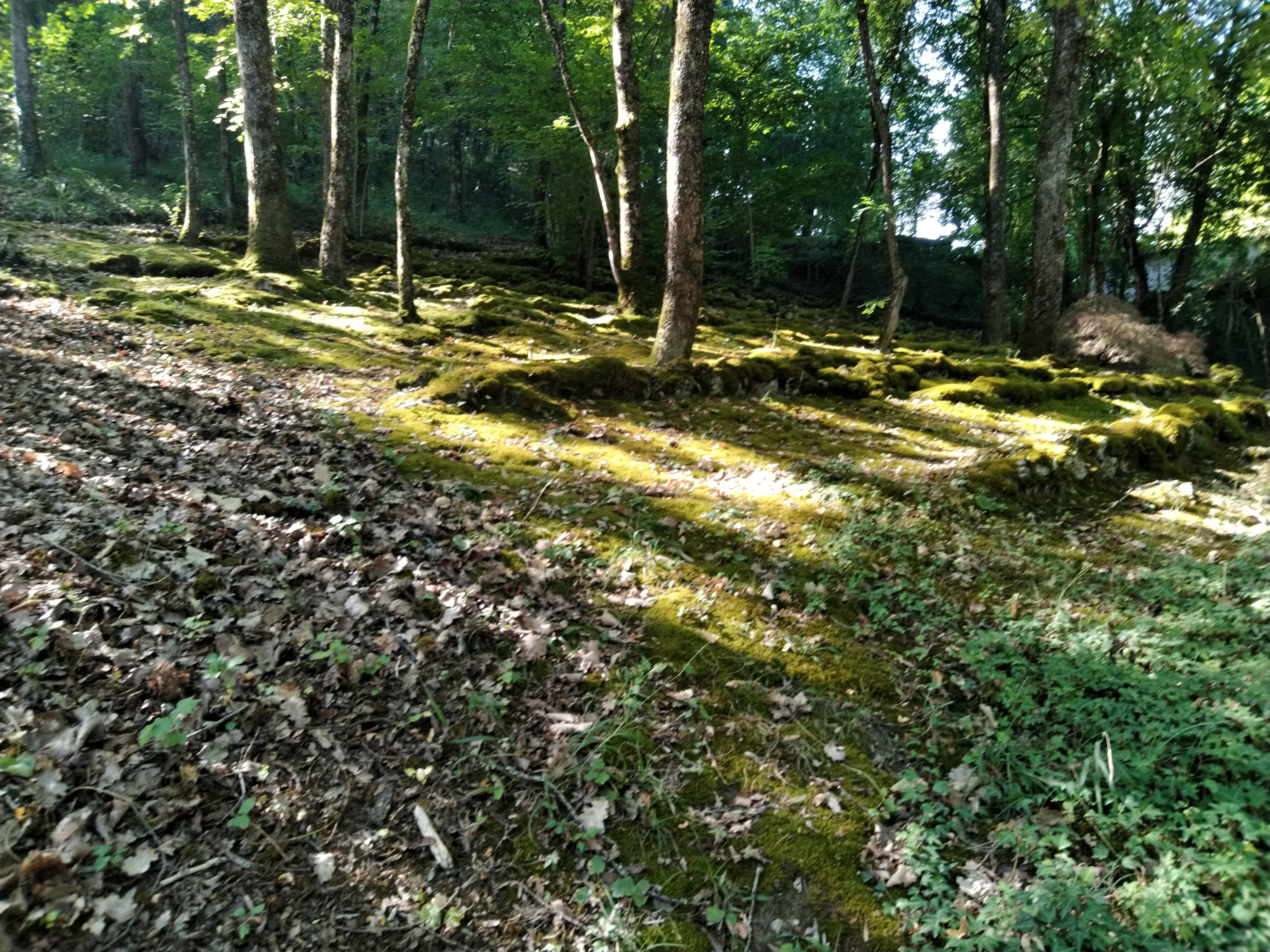 Photo n° 6 de l'avis de Philippe.u fait le 07/09/2019 à 16:09