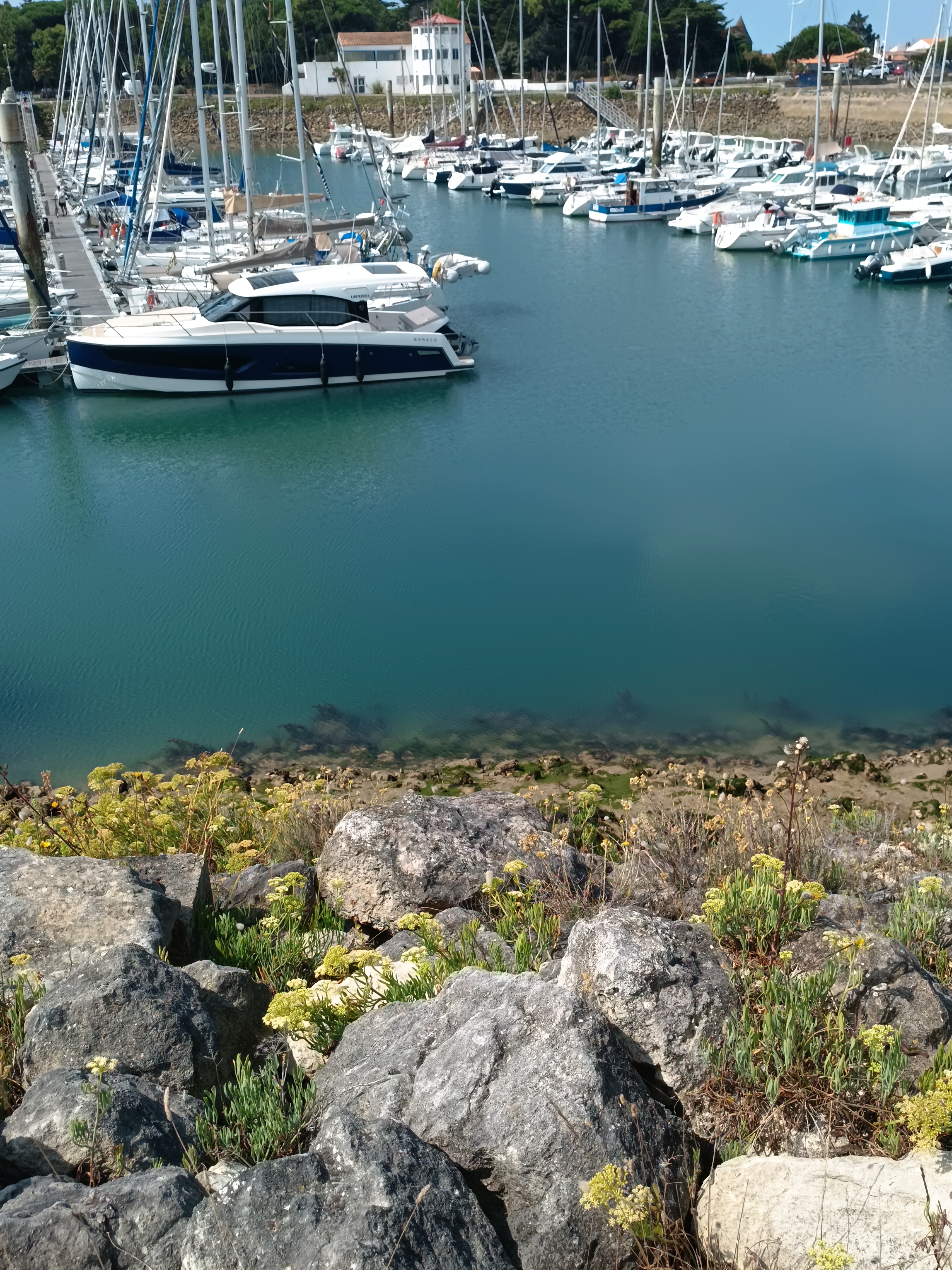 Photo n° 1 de l'avis de Bérénice.' fait le 20/08/2023 à 08:41