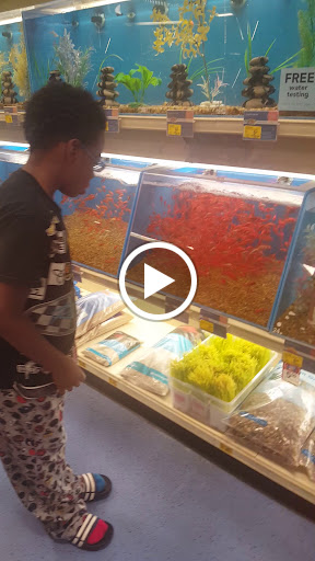 Pet Supply Store «PetSmart», reviews and photos, 6204 W Park Blvd, Plano, TX 75093, USA