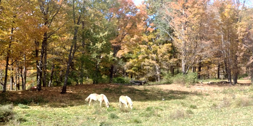 Tourist Attraction «Sugarbush Farm», reviews and photos, 591 Sugarbush Farm Rd, Woodstock, VT 05091, USA