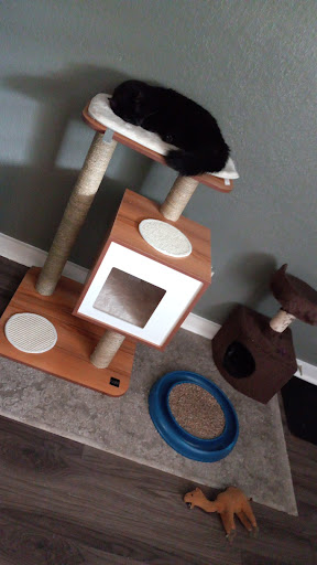 Pet Supply Store «Pet Supermarket, Inc.», reviews and photos, 3911 Lemmon Ave, Dallas, TX 75219, USA