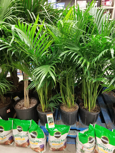 Home Improvement Store «The Home Depot», reviews and photos, 1000 NE 4th Ave, Fort Lauderdale, FL 33304, USA