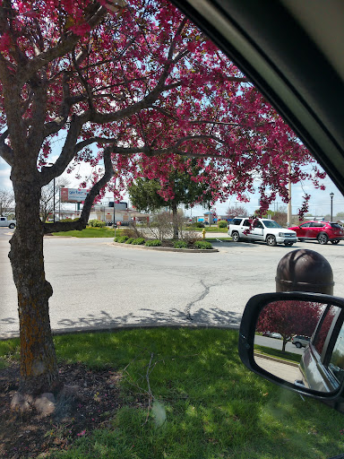 American Restaurant «Cracker Barrel Old Country Store», reviews and photos, 404 Kentucky Dr, Kokomo, IN 46902, USA