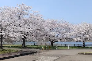 Sozaburonuma Park image