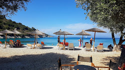 Filiatro Beach'in fotoğrafı doğal alan içinde bulunmaktadır
